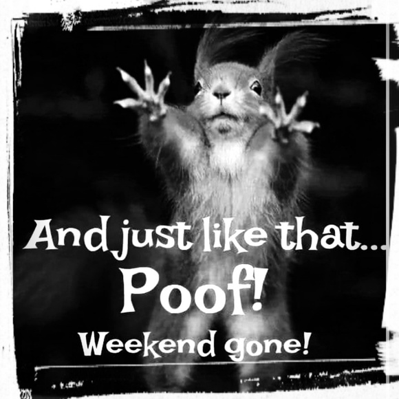 Meet your Posher, Chris - Picture 1 of 8